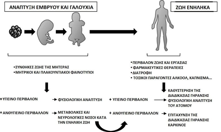 Μαιευτήρας γυναικολόγος στην Γλυφάδα Δημητρακόπουλος Ιωάννης