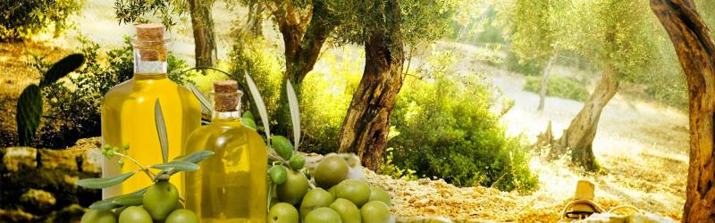 Εμπόριο ελαίου στον Μελιγαλά ΔΙΑΜΑΝΤΙ - ΕΡΑΤΩ