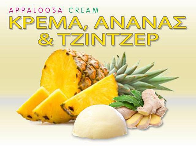 Παγωτά στην Ερέτρια Appaloosa Cream