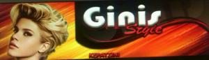 Ginis Style