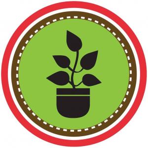 Gardening Service