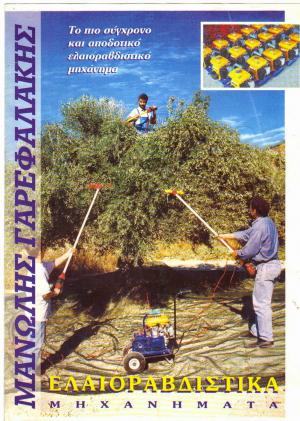 Olive Harvesters Of Crete