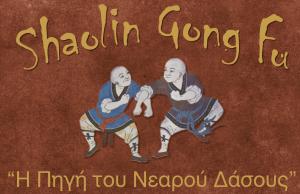 Σαολίν Κουνγκ Φου Η πηγή του νεαρού δάσους