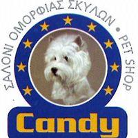 Candy