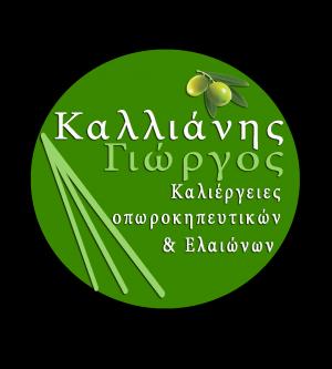Καλλιάνης Γεώργιος