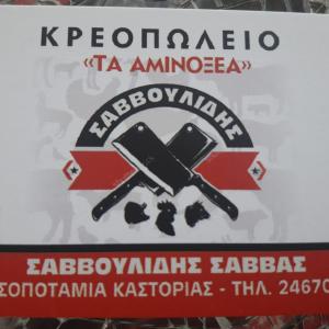 Τα Αμινοξέα
