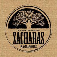 Zacharas pan plants