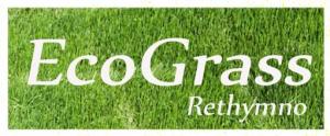 Eco Grass