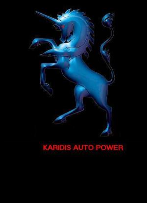 Tiger Motor Sport