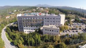 Γένεσις