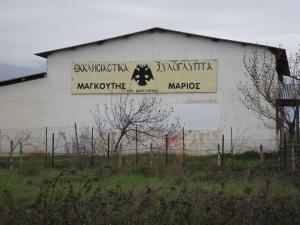 Μαγκούτης Μάριος