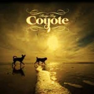 Coyote