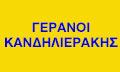 Κανδηλιεράκης Γεώργιος
