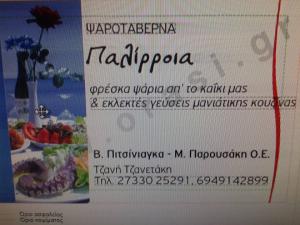 Η Παλίροια