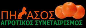Αγροτικός Συνεταιρισμός Πήγασος