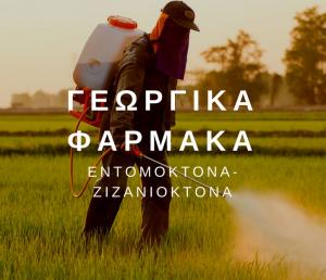 Βάλβης Χαράλαμπος