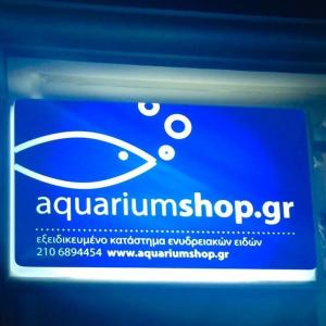 Aquarium Shop