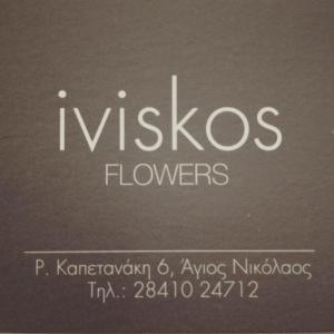 Ιβίσκος