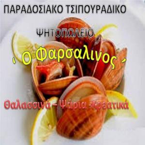 Ο Φαρσαλινός