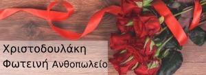 Χριστοδουλάκη Φωτεινή