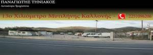 Τηνιακός Παναγιώτης