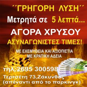 Γρήγορη Λύση
