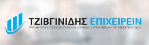 Τζιβγινίδης Επιχειρείν