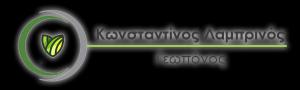 Λαμπρινός Κωνσταντίνος