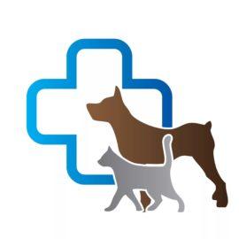 Veterinary Practice