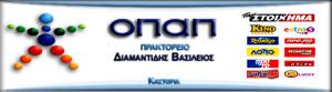 Διαμαντίδης Βασίλειος