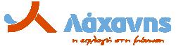 Λάχανης Δημήτρης