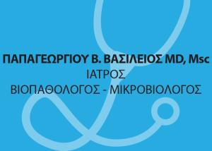Παπαγεωργίου Βασίλειος