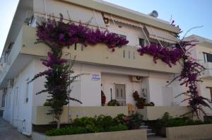 Andreas Studios