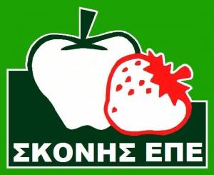 Λογότυπο Φρούτα Σκόνης