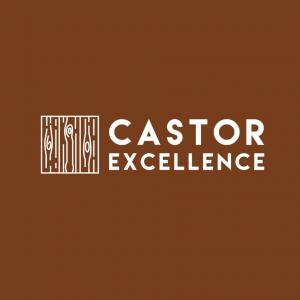 Castor Excellence