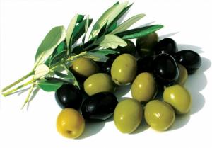 Ασλανίδης Αμβρόσιος