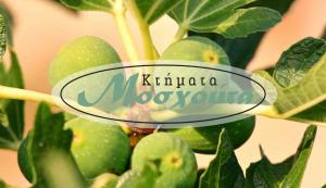 Κτήματα Μοσχούτα