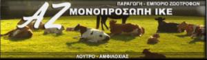 Α Ζ Μονοπρόσωπη ΙΚΕ