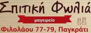 Σπιτική φωλιά