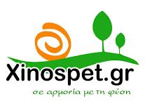 Χίνου Ιωάννα