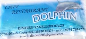Lion Dolphin
