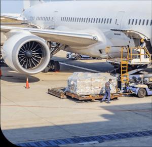 Skyway Air Cargo