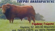Βοοτροφική Μονάδα