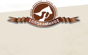 Ιπποκάμηλος