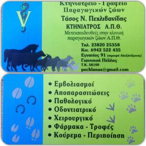Πεχλιβανίδης Αναστάσιος