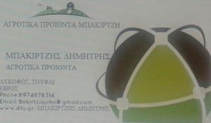 Μπακιρτζής