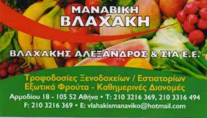Βλαχάκης Αλέξανδρος