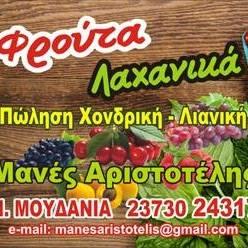 Μανές Αριστοτέλης