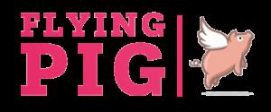 Flying Pig Toys