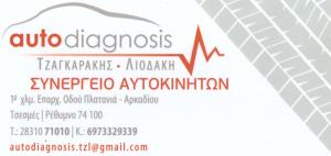 Auto Diagnosis Tzagkarakis Liodaki